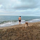 Portada para "Pls. Stay"