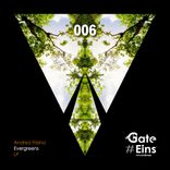 Artwork voor "Evergreens"