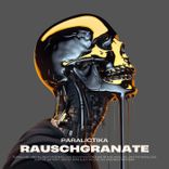 Portada para "Rauschgranate"