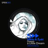 Artwork for "Dream a Little Dream (Remixes)"