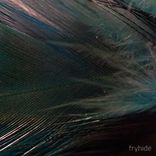 Artwork for "On The Radar"