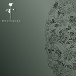 Artwork for "Feel You"