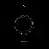 Artwork for "Precious EP"