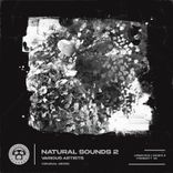 Artwork for "Natural Sound 2"
