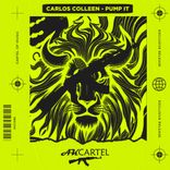 Artwork for "Pump It"