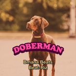 Doberman