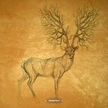 Portada para "Flex Lines"