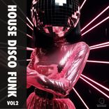 Artwork for "House Disco Funk Vol 2"