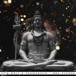 Artwork for "Goa Visions"