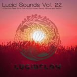 Artwork für "Lucid Sounds, Vol. 22 - A Fine and Deep Sonic Flow of Club House, Electro, Minimal and Techno"