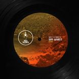 Artwork voor "Say What"