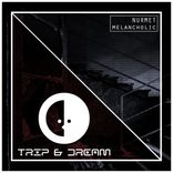 Artwork for "Melancholic"