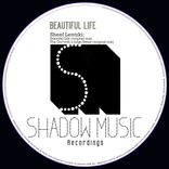 Artwork voor "Beautiful Life"
