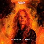 Artwork for "Burn It"