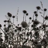 Artwork for "Testdrive"