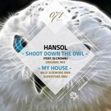 Shoot Down The Owl
