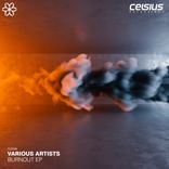 Portada para "Beauty"