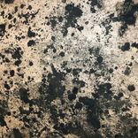 Artwork for "El Camino"