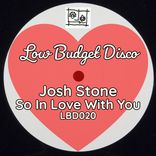 Artwork voor "So In Love With You"