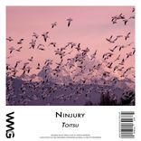 Artwork voor "Toitsu"