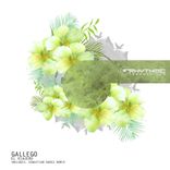 Artwork for "El Viajero"