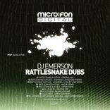 Artwork for "Rattlesnake Dubs"