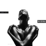 Portada para "Dieda"