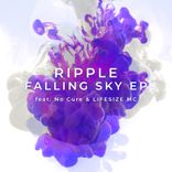 Artwork for "Falling Sky"