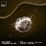 Artwork voor "Atonement of Sins"