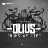 Artwork voor "Drums of Life"