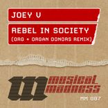 Artwork for "Rebel in Society"