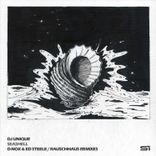 Artwork for "Seashell"