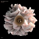 Artwork for "Best Organic House Hype SFR"