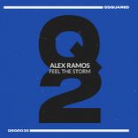 Artwork for "Feel the Storm"