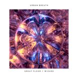 Artwork for "Great Floor / Wizard"