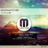 Artwork for "Taurus"