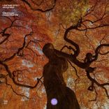 Artwork for "Immaculate"