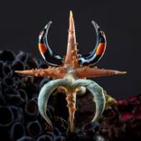 Artwork for "Proximity (Rauschhaus Remix)"