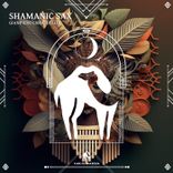 Artwork voor "Shamanic Sax"