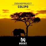 Artwork for "Colipo"