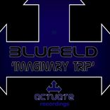 Portada para "Imaginary Trip"