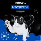 Artwork for "Brinca"