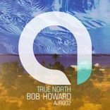 Artwork for "True North"