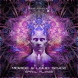 Artwork for "Spiral Flakes"