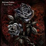 Portada para "Black Rose"