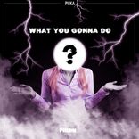 Portada para "What You Gonna Do"