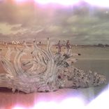 Artwork für "Bay of Seven Moons"