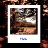 Artwork für "Moka"