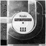 Artwork for "Magic Experience"