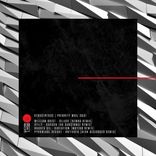 Artwork for "Priority Mail 2021"